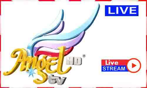 Angel TV Live TV Channel in India