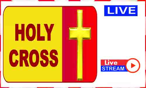 Read more about the article Watch Holy Cross TV Live News TV Channel in India