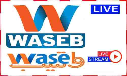 Read more about the article Watch Waseb TV Live News TV Channel In Pakistan