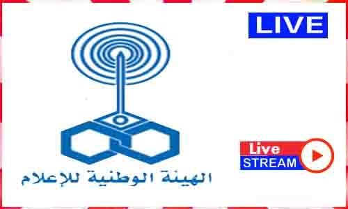 Read more about the article Watch National Media Authority Live TV Channel In Egypt