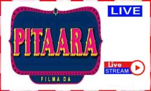 Read more about the article Pitaara TV Live News TV Channel India