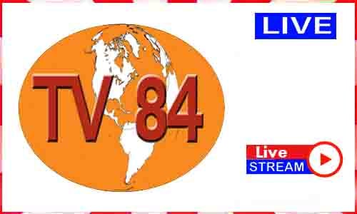 TV84 Live News TV Channel India