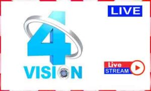 Read more about the article Watch Vision 4 Live News Tv Channel In Cameroon