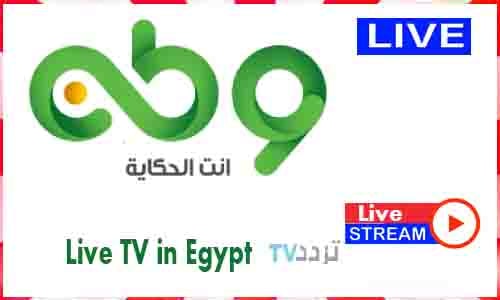 Watan TV Live TV Channel in Egypt