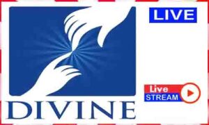 Read more about the article Watch Divine Vision Network Live News TV Channel In India