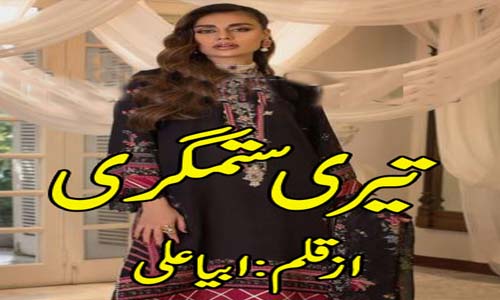 Read more about the article Teri Sitamgari Novel By Abeeha Ali Complete PDF Download