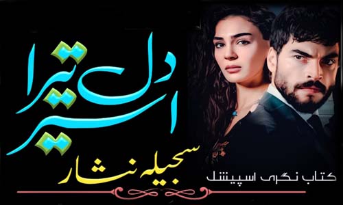 Read more about the article Dil Tera Aseer By Sajeela Nisar Complete Novel