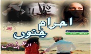 Read more about the article Ehram e Junoon by TS Writes Complete Novel Pdf Download