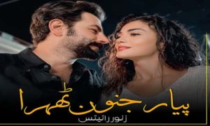 Read more about the article Pyaar Junoon Thehra By Zanoor Writes Complete Novel Pdf Downlaod
