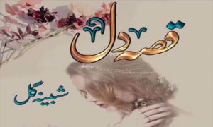 Read more about the article Qissa e Dil by Shabina Gul Complete Novel Free Pdf Download