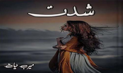 Read more about the article Shiddat Novel By Meerab Hayat Complete Novel PDF Download
