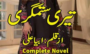 Read more about the article Teri Sitamgari By Abeeha Ali Complete Novel PDF Download