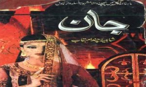 Read more about the article Jaan By Shaheena Chanda Mehtab Complete Novel Pdf