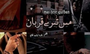 Read more about the article Mai Tere Qurban By Mahira Zaynab Khan Complete Novel