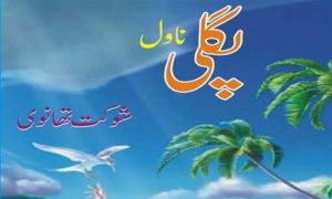 Read more about the article Pagli Novel By Shaukat Thanvi Complete Novel Download