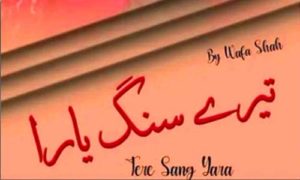 Read more about the article Tere Sang Yaara By Wafa Shah Complete Novel Download