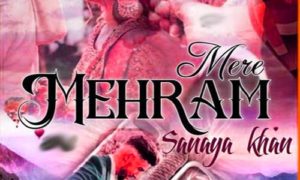 Read more about the article Mehram Mere by Sanaya Khan Complete Novel PDF Donload