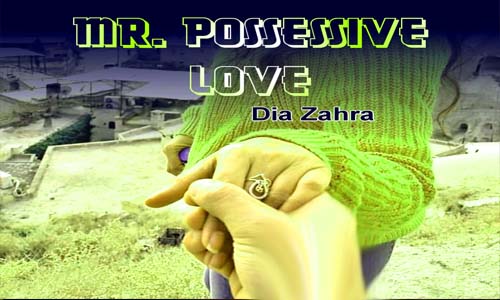 Mr Possessives Love By Dia Zahra Novel