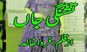 Read more about the article Tashnagi E Jaan By Farwa Khalid Complete Novel PDF Donload