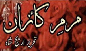 Read more about the article Marm E Kaizan By Areej Shah Complete Novel PDF