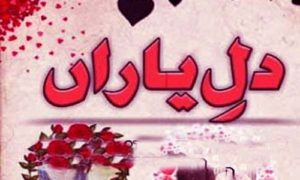 Read more about the article Dil e Yar by Dia Zahra Complete Novel Download