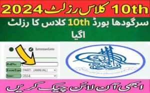 Read more about the article Sargodha Board Matric Supplementary Exam Result 2024